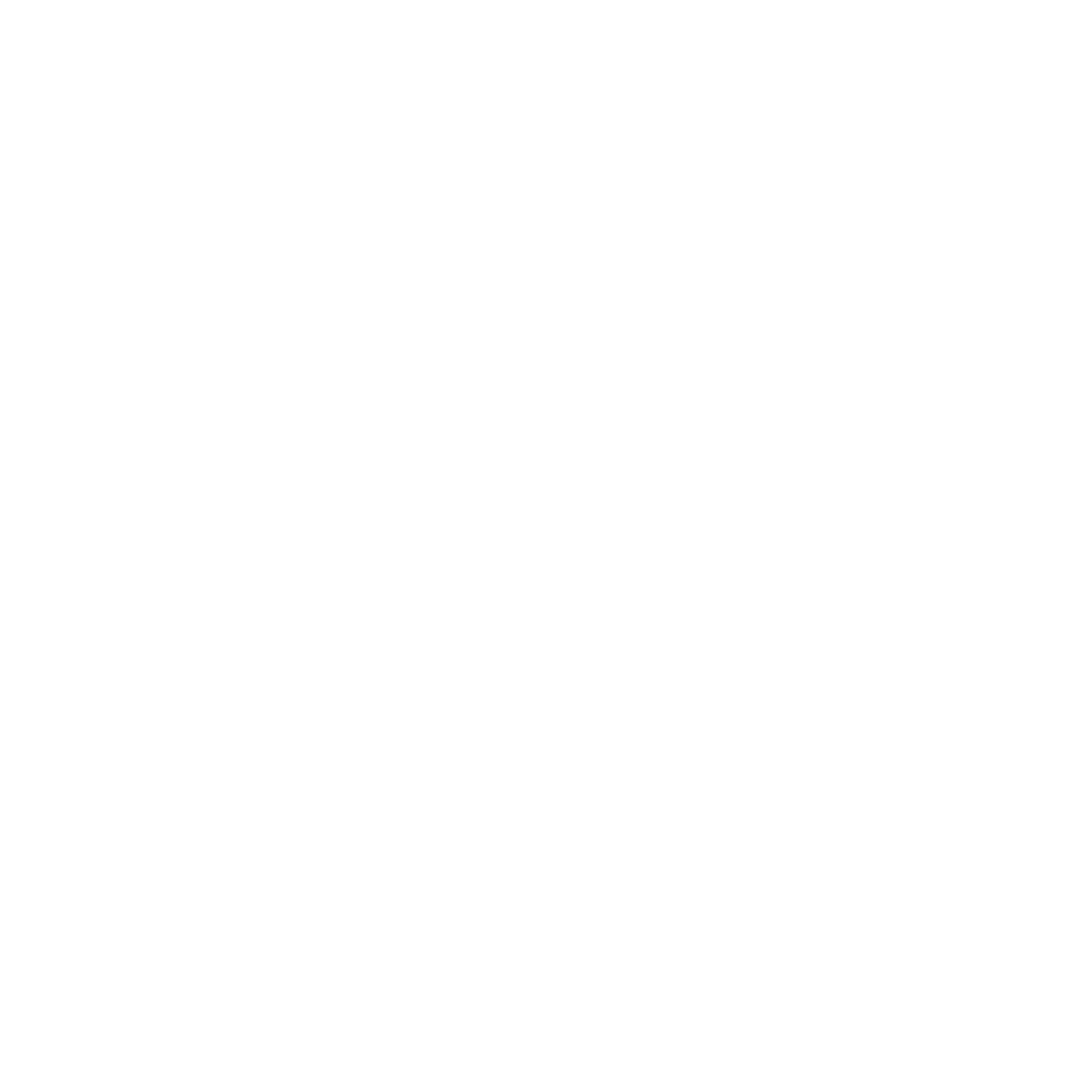 АО Новый Регистратор 2025